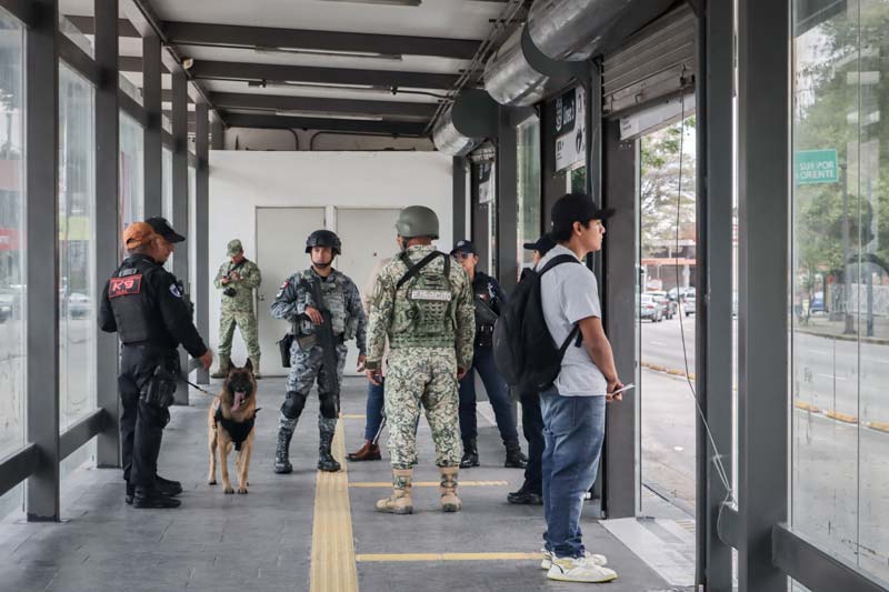 Escuadrón canino realiza operativo en RUTA: detectan marihuana y objetos prohibidos