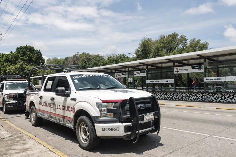 Escuadrón canino realiza operativo en RUTA: detectan marihuana y objetos prohibidos