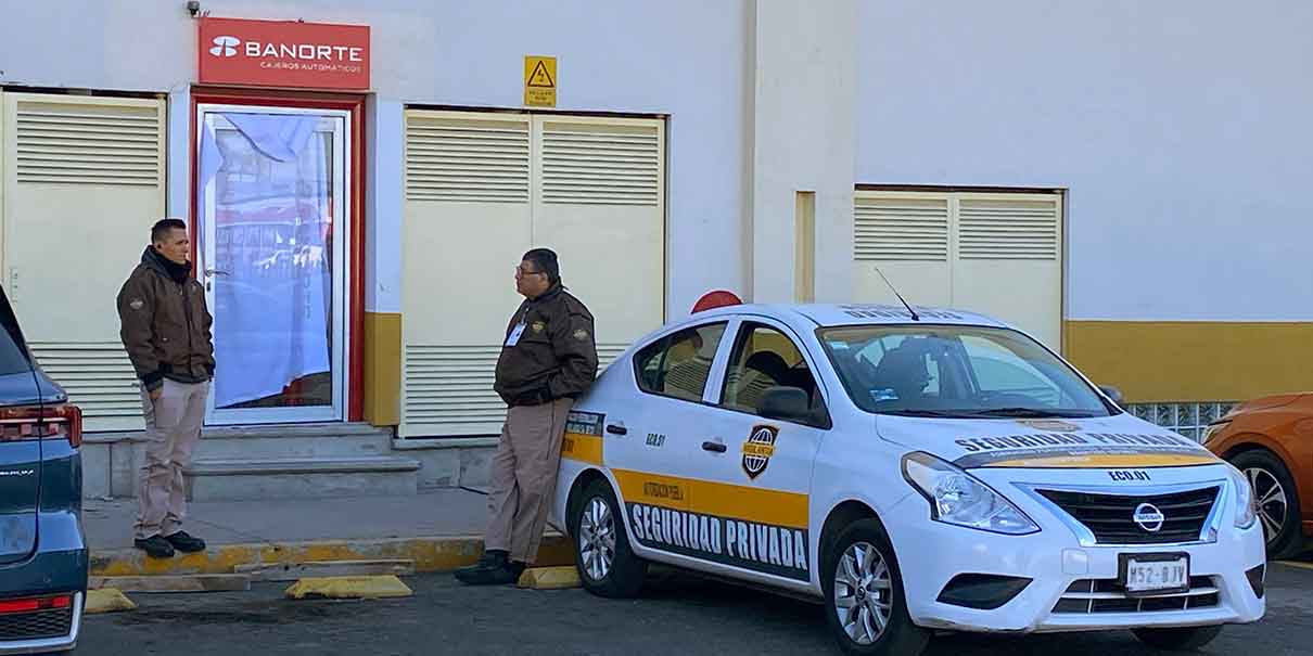 Seguridad privada
