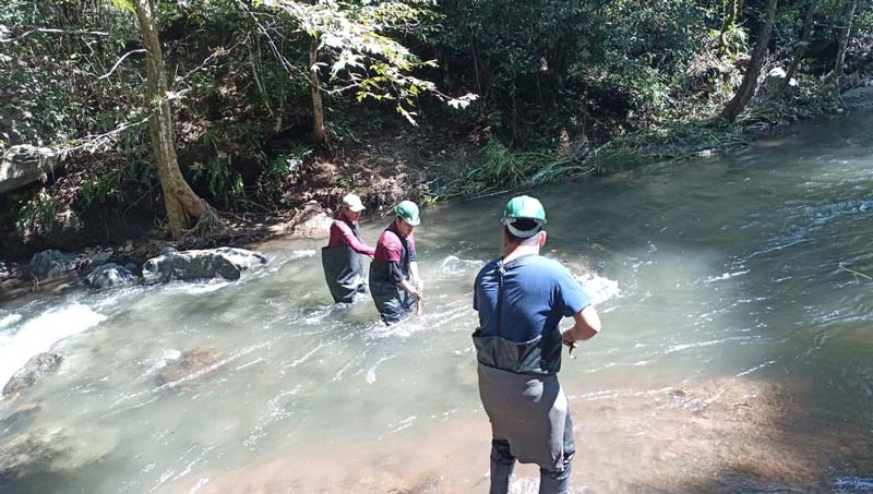 Sheinbaum regresará a Puebla para supervisar apoyos en la Sierra Norte