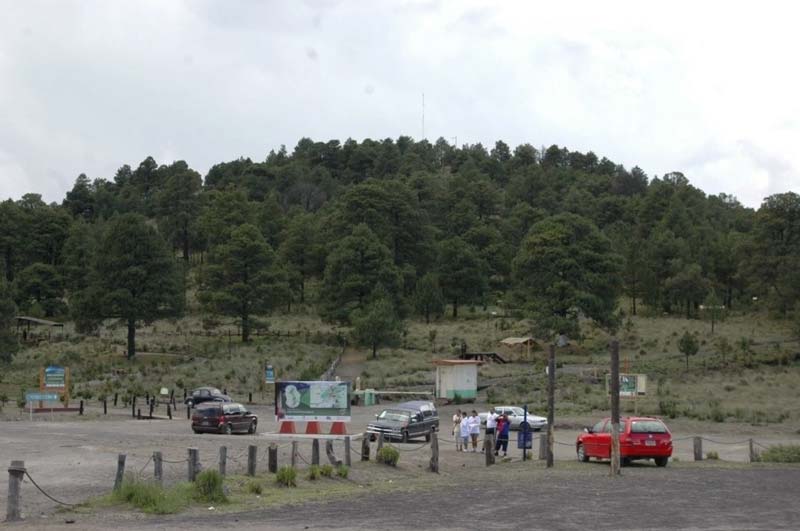Claudia Sheinbaum encabezará una jornada de reforestación en el Parque Nacional Izta-Popo