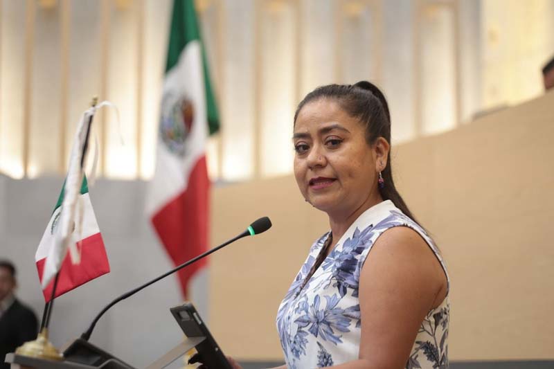 Sin cohesión ni participación el PAN “se perderá”: Celia Bonaga