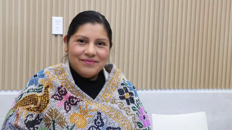 Elisa Limón seguirá como diputada suplente ante el posible regreso de Laura Artemisa.