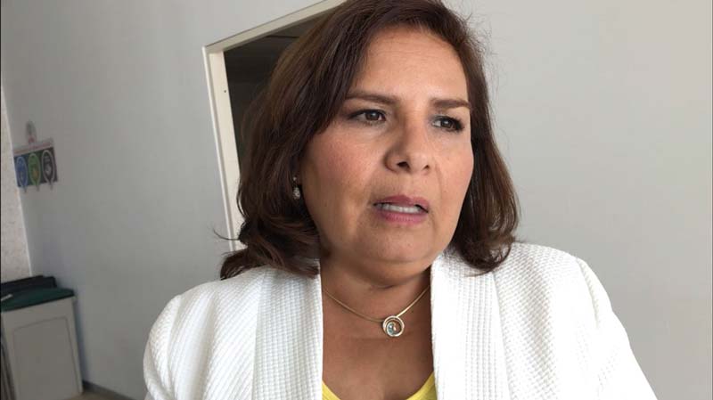 Sin ley de protección, los menores de edad son un producto barato para criminales: PVEM