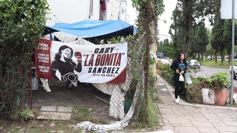 Políticos burlan reglas electorales y tapizan la ciudad con sus nombres