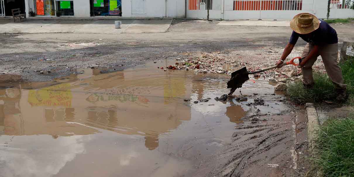 Baches