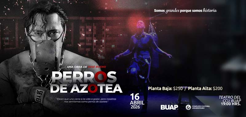 Drama y emoción en el CCU: Estreno de Perros de azotea y Las Intermitencias del Adiós