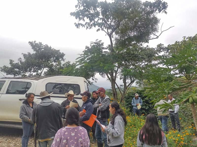 Productores de café en Tlacuilotepec reciben apoyo técnico para cosechas más sanas y sostenibles