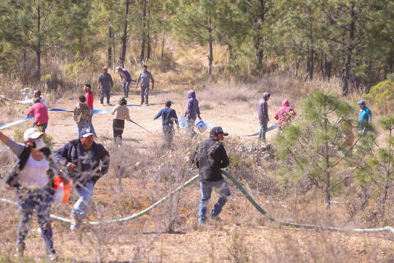 Incendio forestal en Vicente Guerrero registra 90% de liquidación