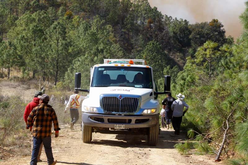 Incendio forestal en Vicente Guerrero registra 90% de liquidación
