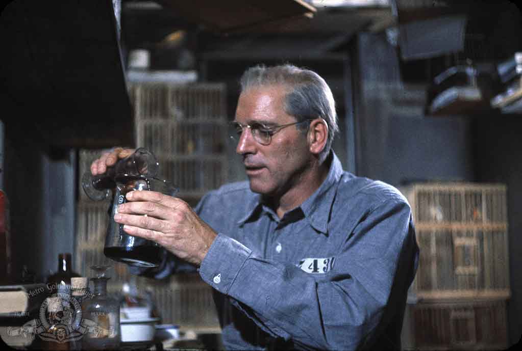 Bird of Alcatraz
