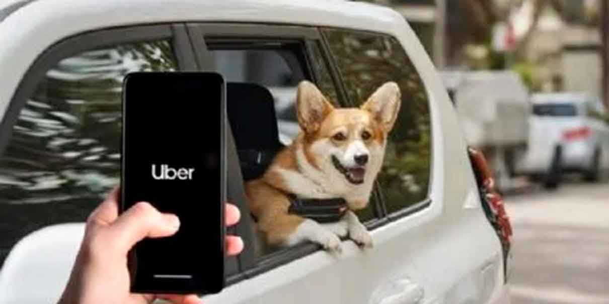 Uber pet
