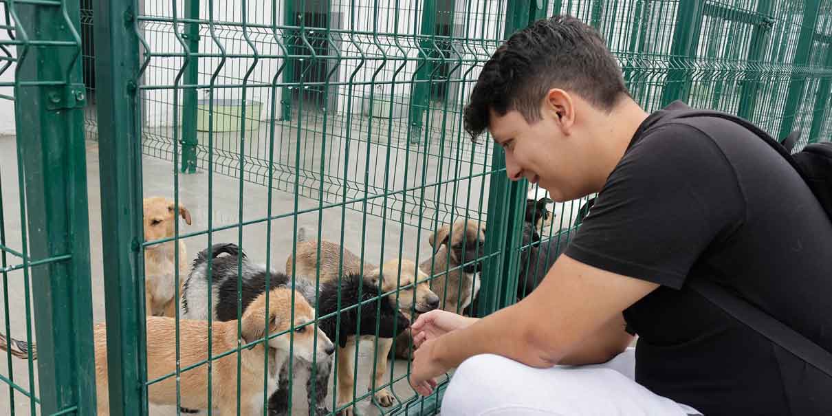 Un 84% de municipios poblanos carecen de un Centro del Bienestar Animal