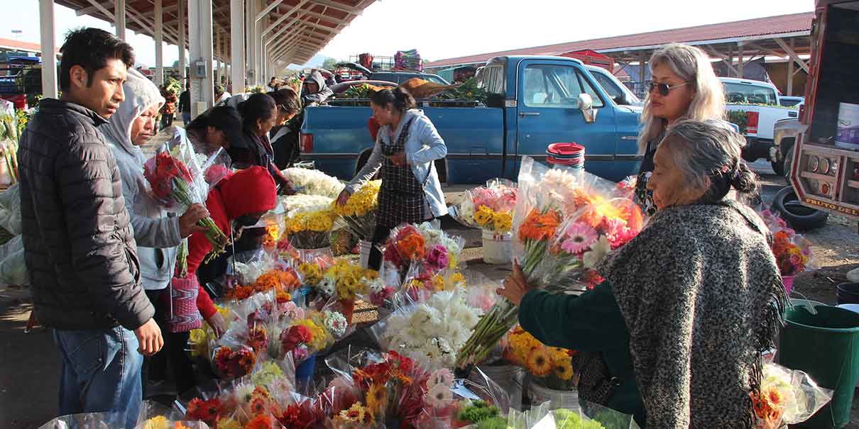 Venta de rosas