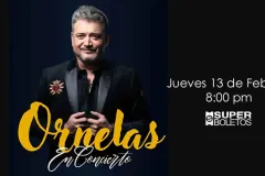 Raúl Ornelas en concierto