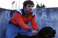 Amores Perros celebra 25 años de salir a carteleras