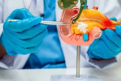 Avance histórico: científicos logran eliminar CÁNCER de páncreas en RATONES