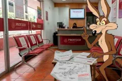 Profeco ofrece ayudar al Coyote contra ACME por productos defectuosos