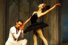 Llega la gala de El Lago de los Cisnes a cargo del Royal Ukranian Ballet