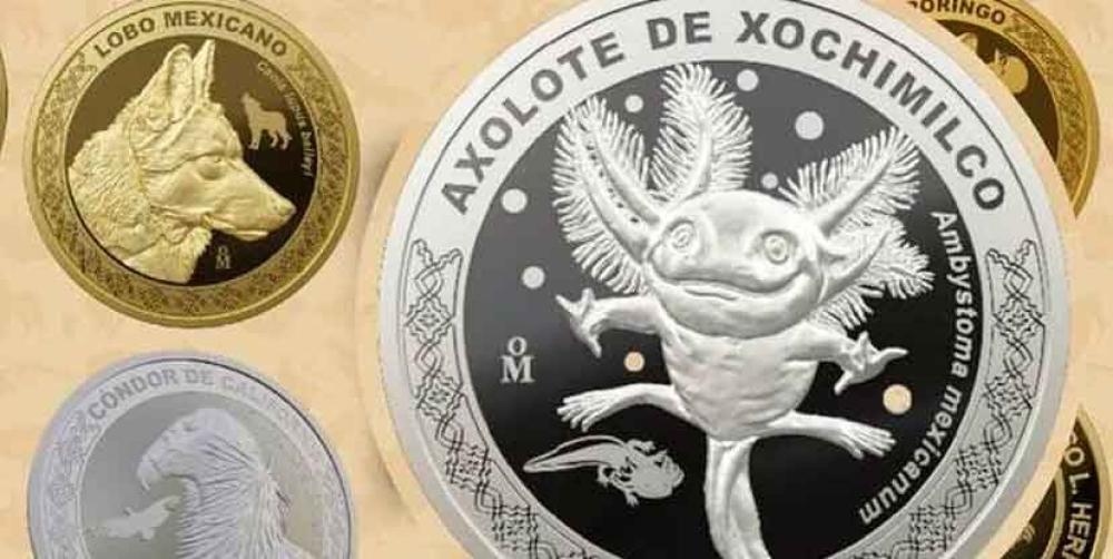 ¿Ya tienes la moneda de ajolote de Xochimilco? Así puedes conseguirla