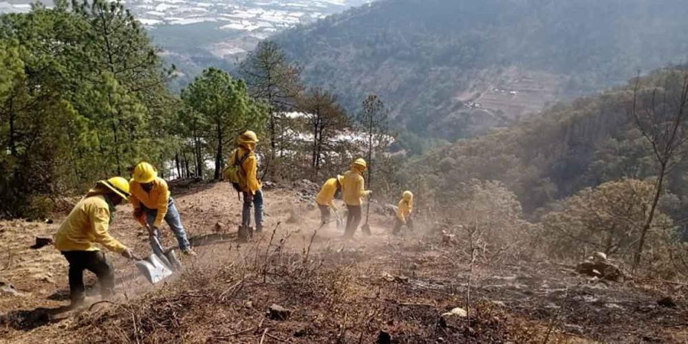 Liquidan incendio forestal en Aquixtla, pero inicia otro en Flor del Bosque