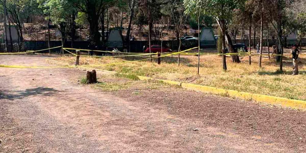 Nuevamente aparece un perrito desollado en Bosque de Nativitas en Xochimilco; suman 24