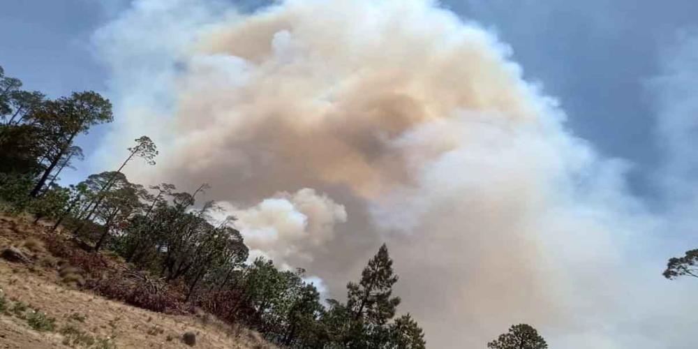 Otro incendio devora zonas arboladas, ahora es en La Fragua