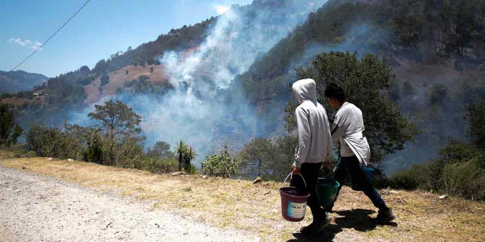 Puebla en cuarto lugar nacional en incendios forestales, van 234 siniestros