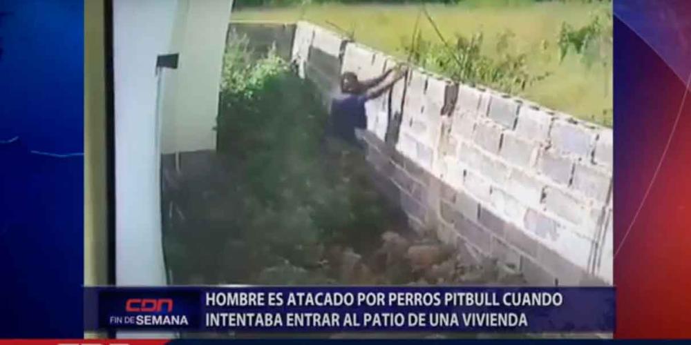 VIDEO. Intentó asaltar una casa pero se topó con tres pitbull
