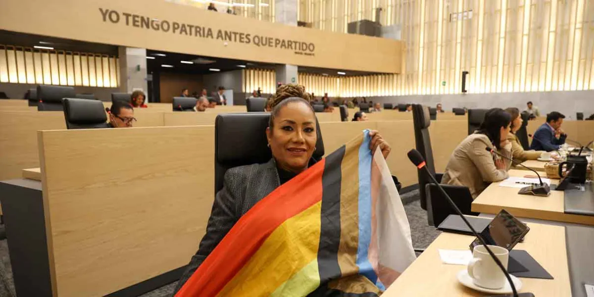 Diputado morenista impugnó llegada de Gabriela Chumacero al Congreso