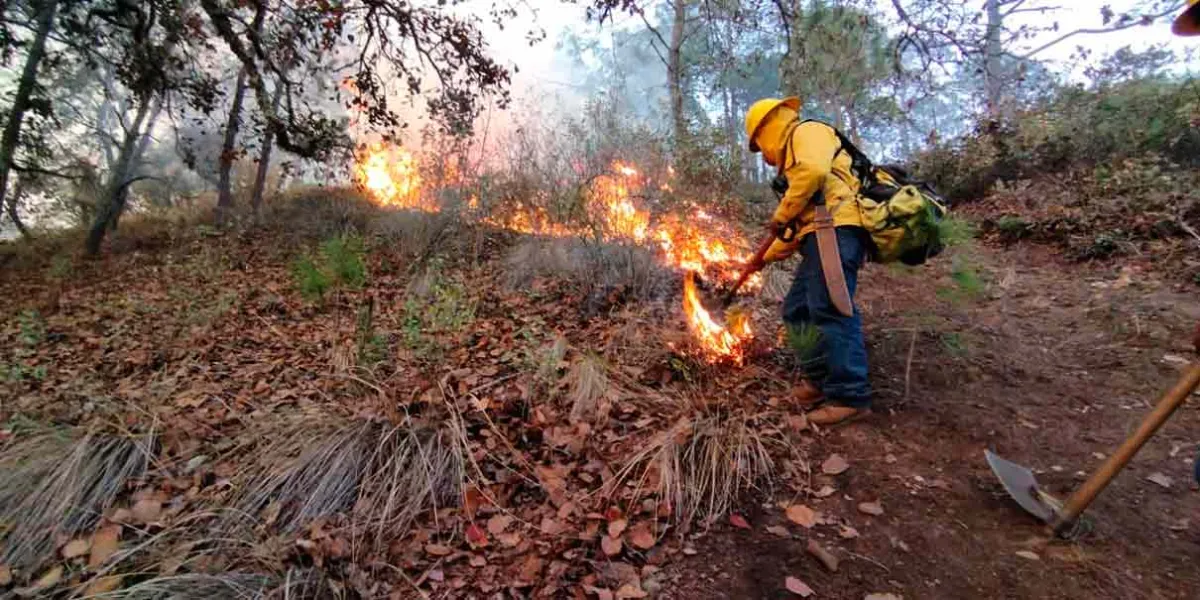 Ya se registró el primer incendio forestal en Puebla