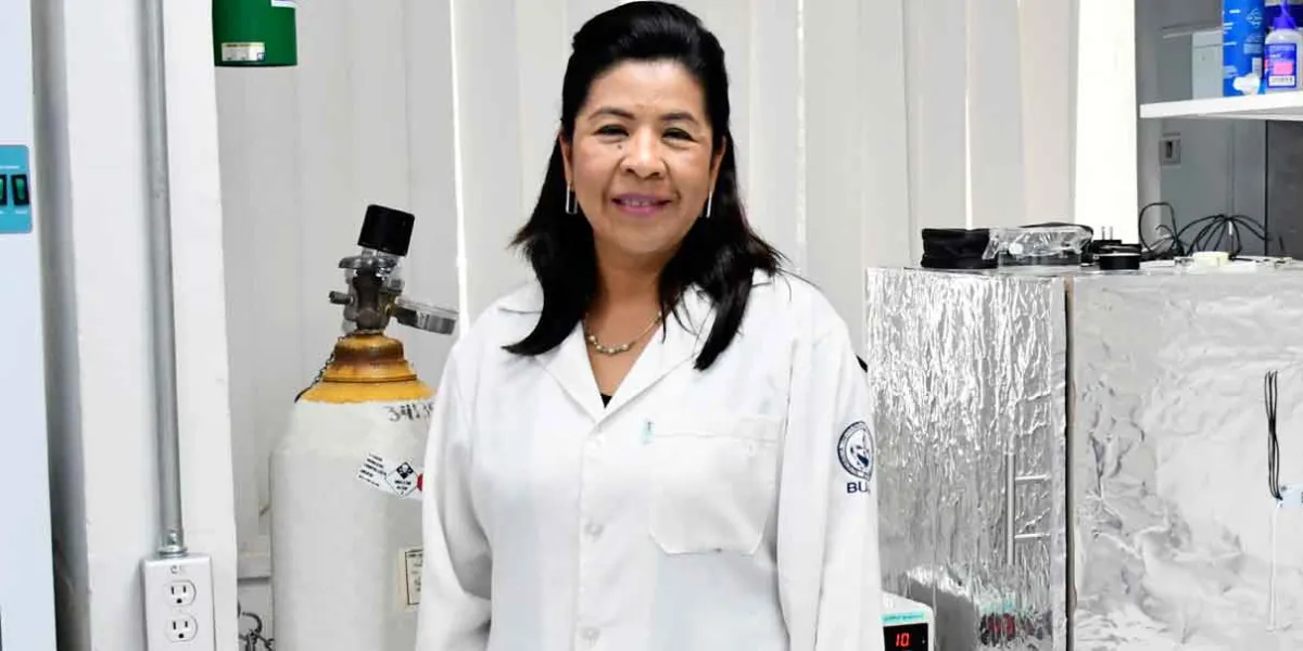 Induce el crecimiento celular a las primeras 24 horas en contacto con fibroblastos