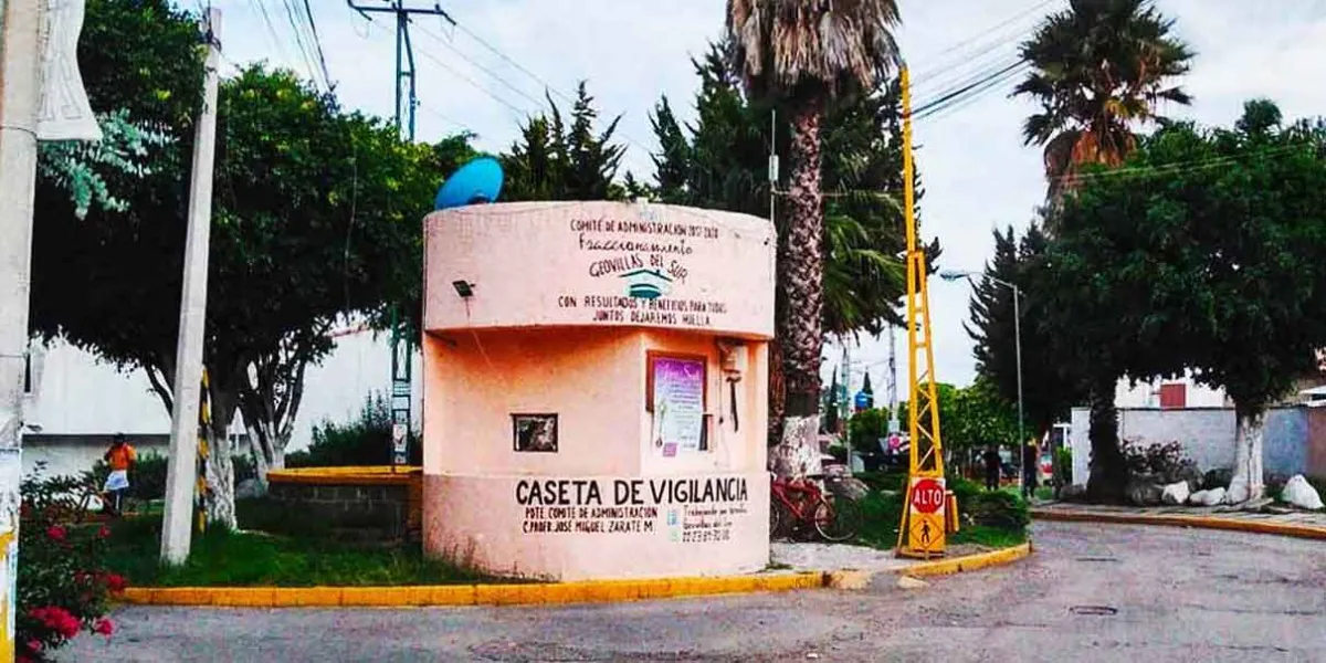 Vecinos solicitan tala de árbol; han sido ignorados en otras administraciones
