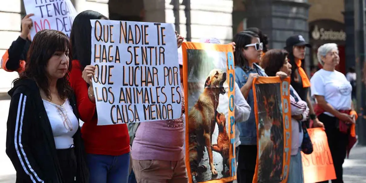 Puebla se suma a la Marcha Nacional por los Derechos de los Animales