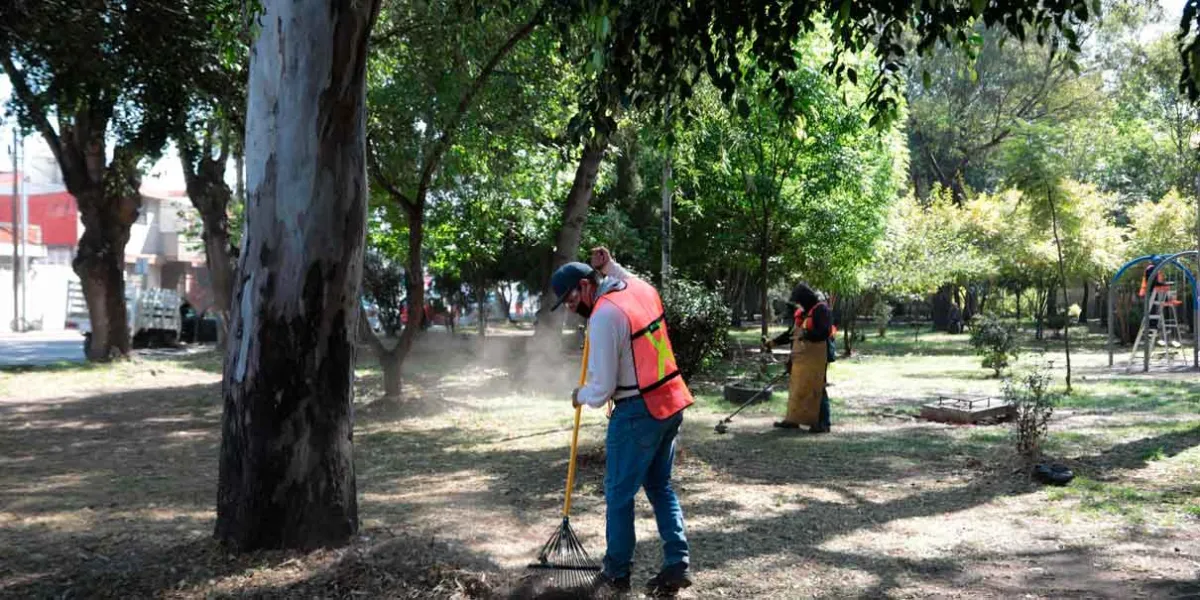 Mantiene Gobierno de la Ciudad compromiso para dar mantenimiento a las áreas verdes