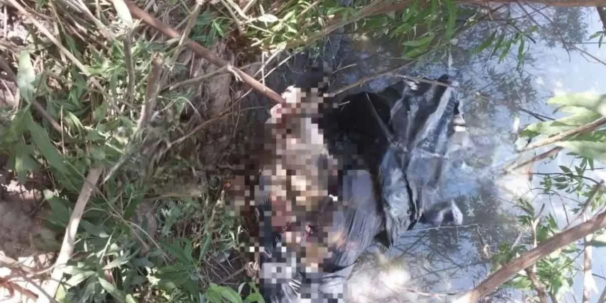 Hallazgo macabro en Yehualtepec: encuentran cabeza y torso humano