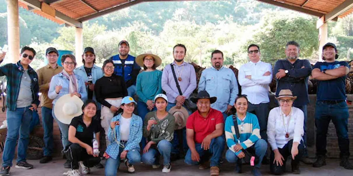 Con estrategias biotecnológicas, investigadores BUAP buscan fortalecer la producción de agave mezcalero en Puebla