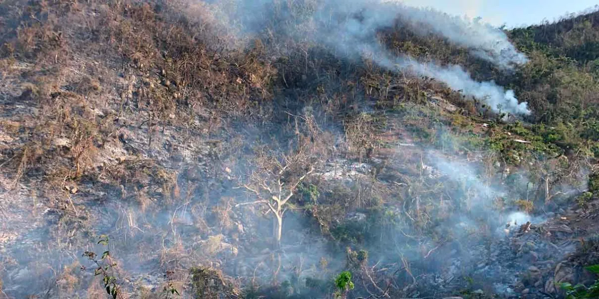 CASTIGO a quien cause daño ambiental o cualquier recurso natural 