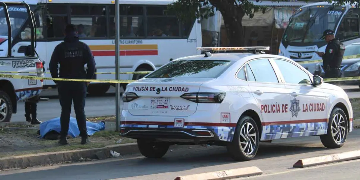 Encuentran cadáver en camellón del bulevar Norte; investigan posible atropellamiento