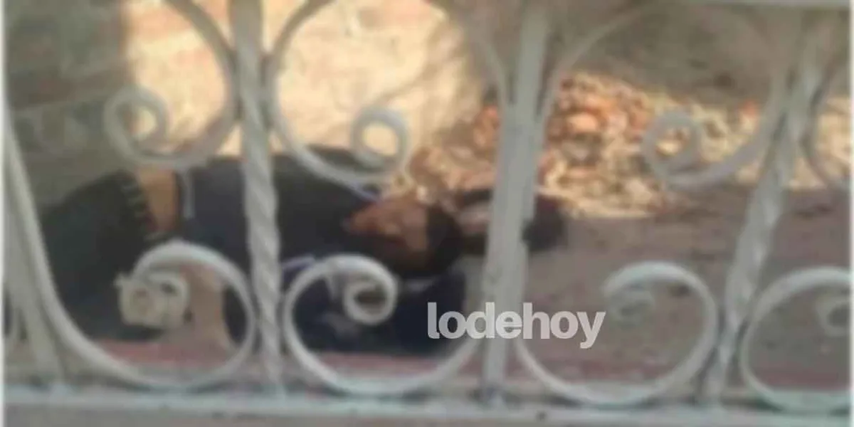 Joven muere DESANGRADO tras accidente en iglesia de Santa María Moyotzingo