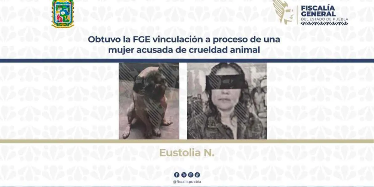 Mujer vinculada a proceso por golpear a perro anciano en Puebla