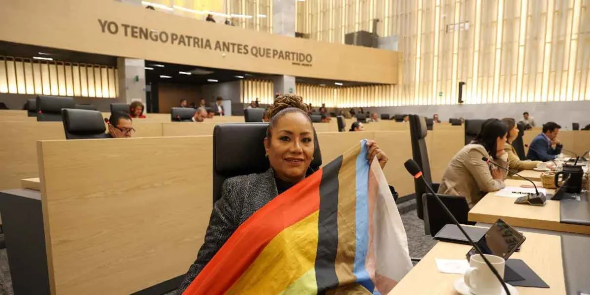 Sigue la pelea legal morenista por la curul que ocupa Gaby Chumacero