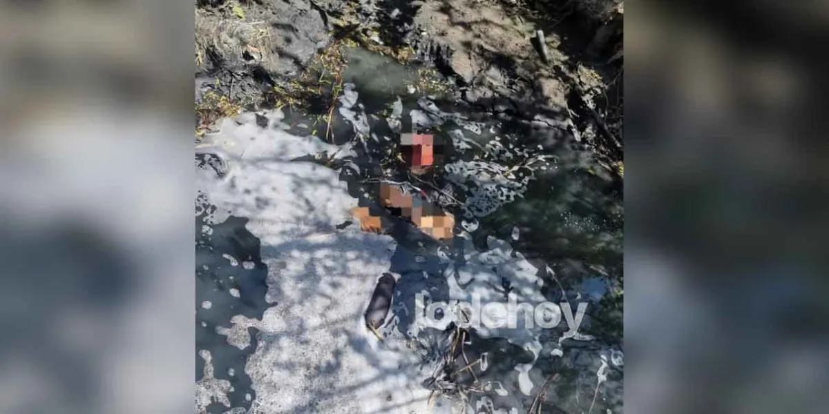 Hallan cadáver con rostro desfigurado en el río Xochiac en Huejotzingo