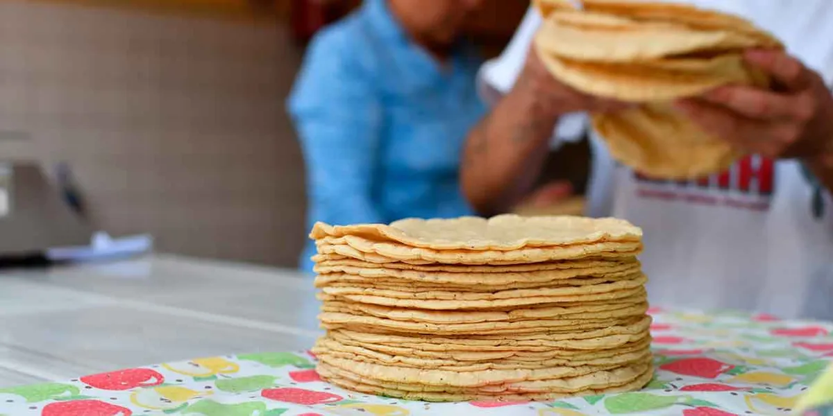 Profeco: Puebla lidera con el precio más bajo de tortilla en la zona centro