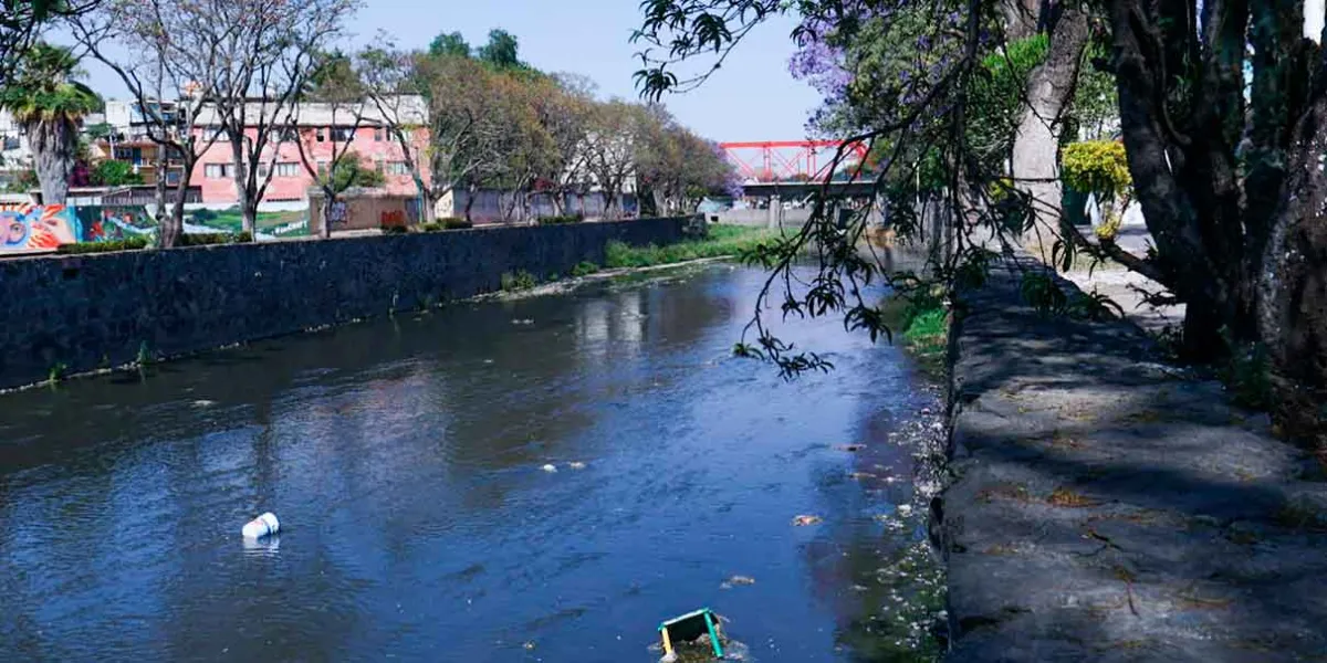 Acciones por el ambiente