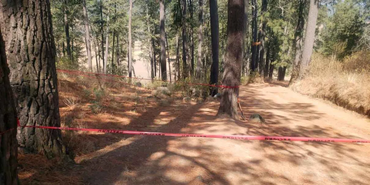 Descubren cuerpos putrefactos en Tlahuapan, al parecer hombres desaparecidos hace un mes