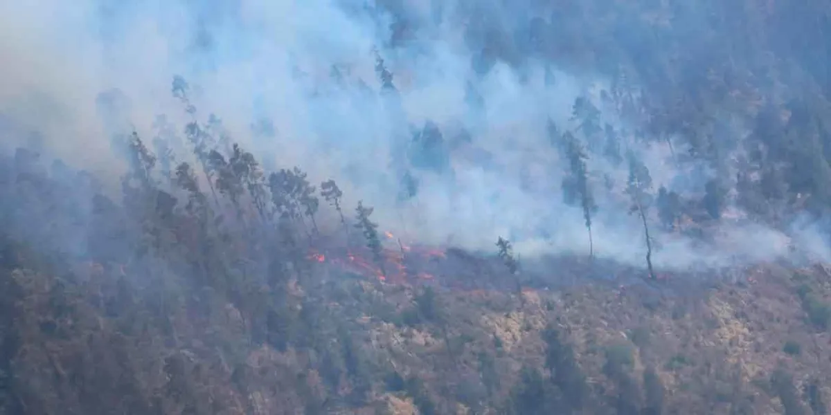 Por aire y tierra se combaten incendios forestales en Puebla