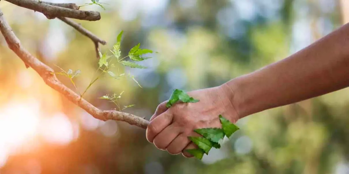  Cuiden el medio ambiente, pidió el PT a los ciudadano