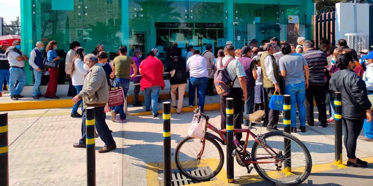Abues despojados de su pensión deben denunciar en la Fiscalía 