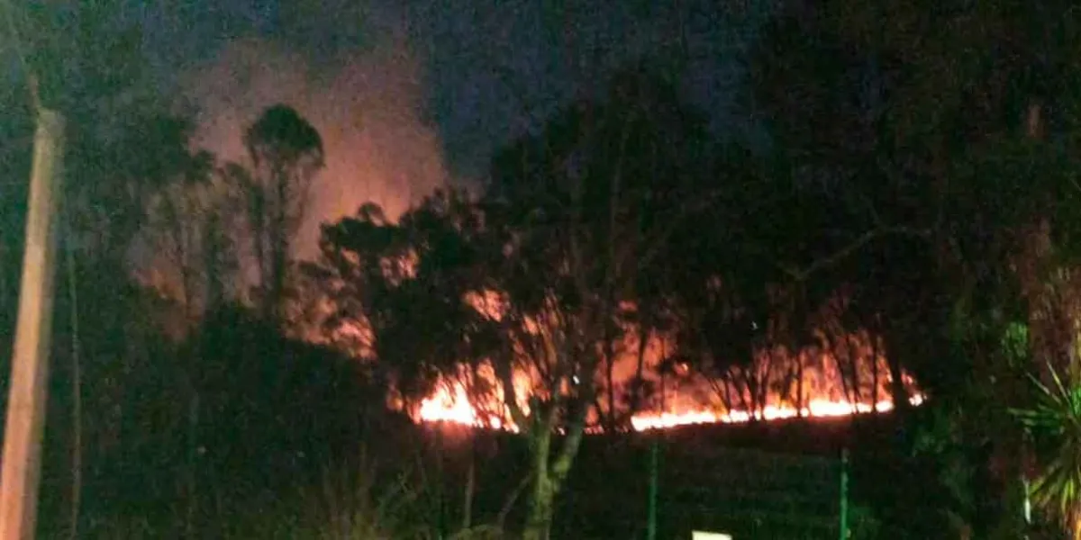 Fuego en el cerro de Amalucan; alerta en vecinos de Bosques de San Sebastián 